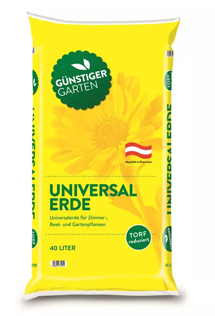 erdbeere saatgut Saatgut Erdbeere main image 0