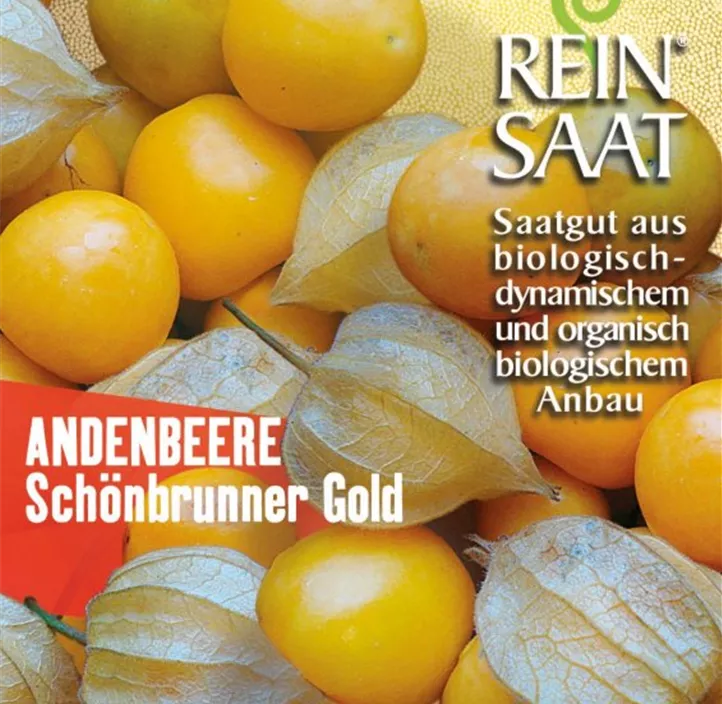 Andenbeere Schönbrunner Gold Andenbeere Schönbrunner Gold
