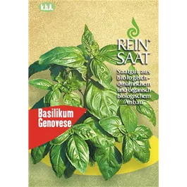 Basilikum Genovese