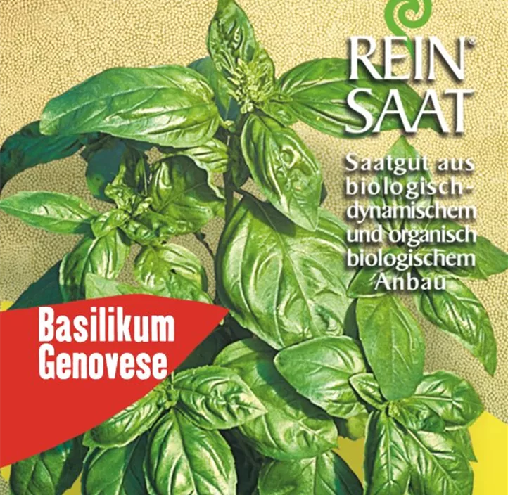Basilikum Genovese Basilikum Genovese