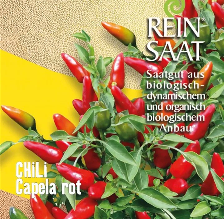 Chili Capela rot