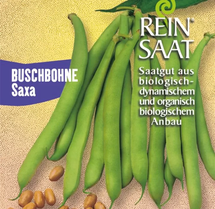 Buschbohne Saxa Buschbohne Saxa