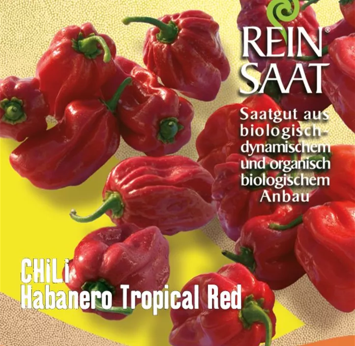 Chili Habanero Tropical Red Chili Habanero Tropical Red