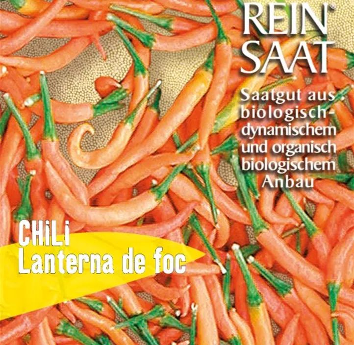 Chili Laterna de foc