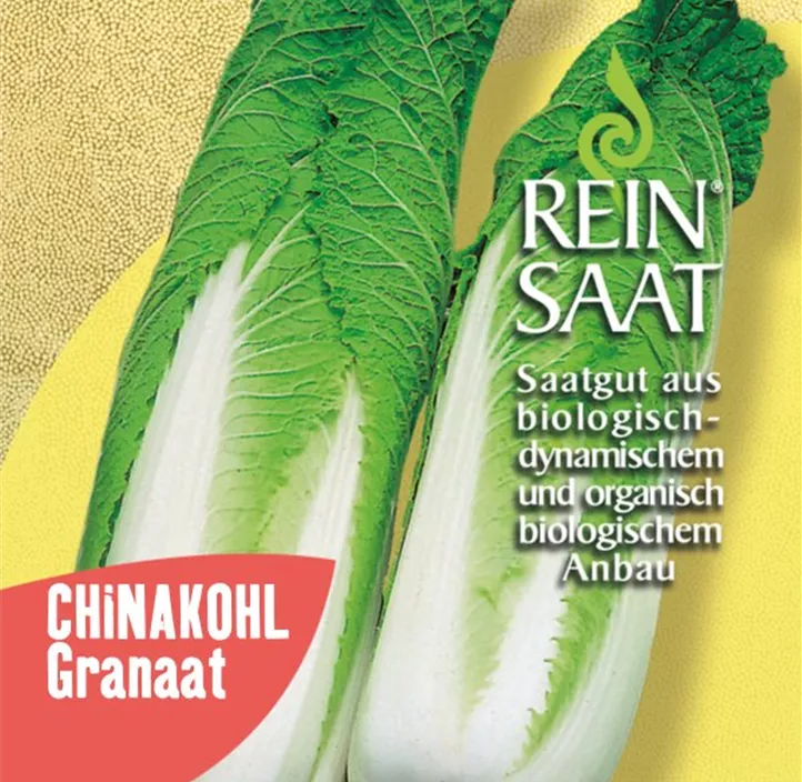 Chinakohl Granat Chinakohl Granat