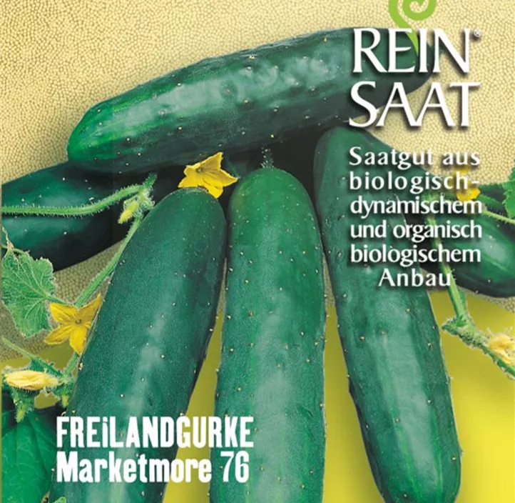 Freilandgurke Marketmore 76
