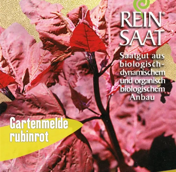 Gartenmelde rubinrot