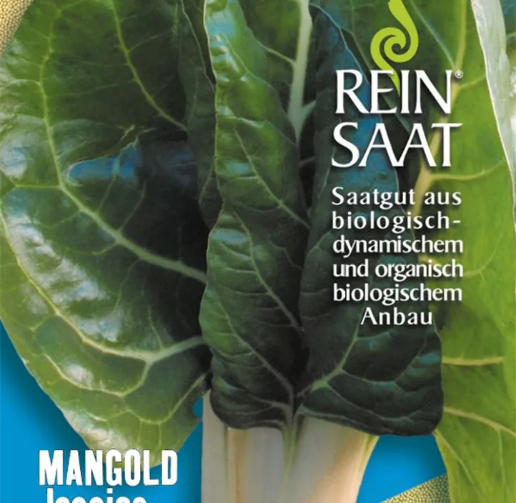 Mangold Jessica