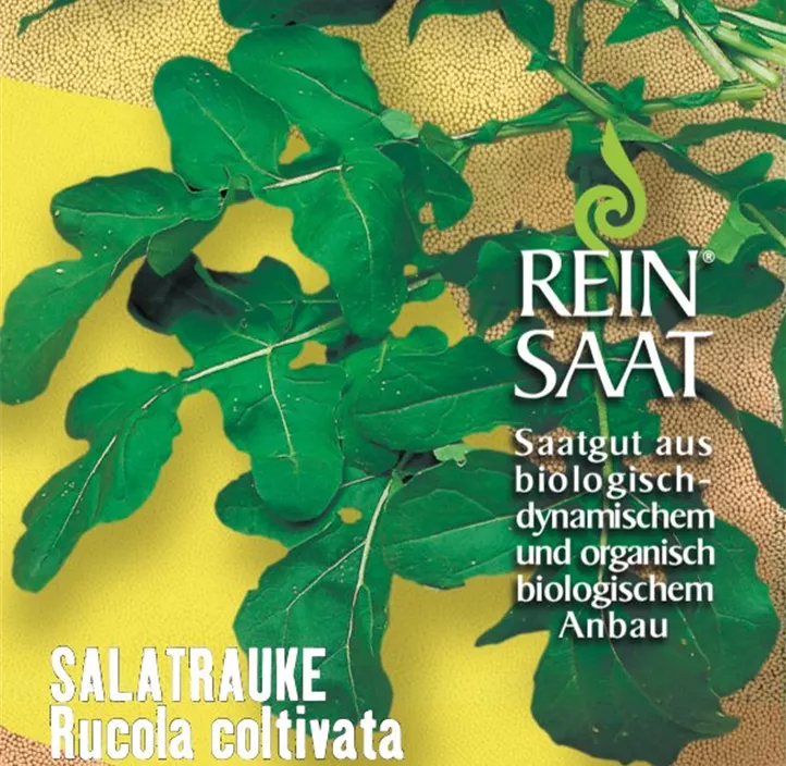 Rucola coltivata Rucola coltivata