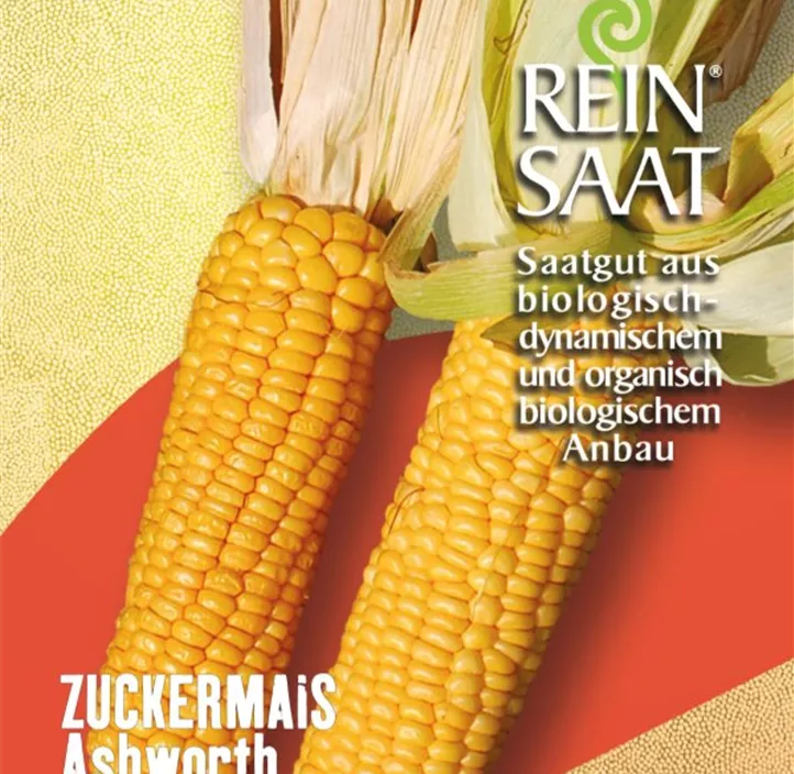 Zuckermais Ashworth Zuckermais Ashworth