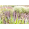 bellaflora Gartencenter GmbH