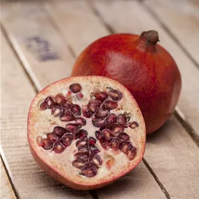 Punica granatum Ministamm