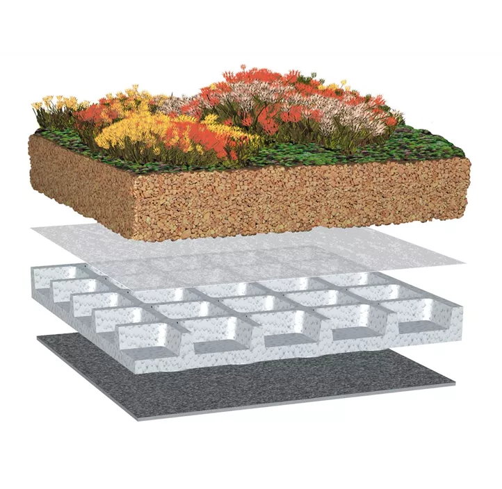 Dachbegrünung Light