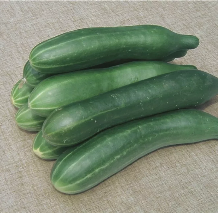 Sämereien