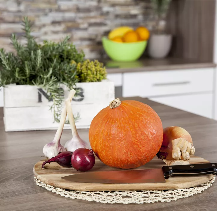 Speisekürbis Hokkaido Speisekürbis Hokkaido