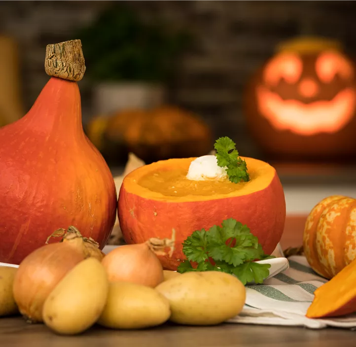 Speisekürbis Hokkaido Speisekürbis Hokkaido