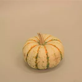 Speisekürbis Sam Bicolor/Pump Ke Mon Speisekürbis Sam Bicolor/Pump Ke Mon