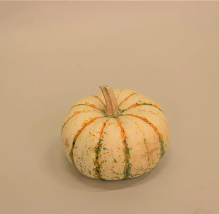 Speisekürbis Sam Bicolor/Pump Ke Mon Speisekürbis Sam Bicolor/Pump Ke Mon