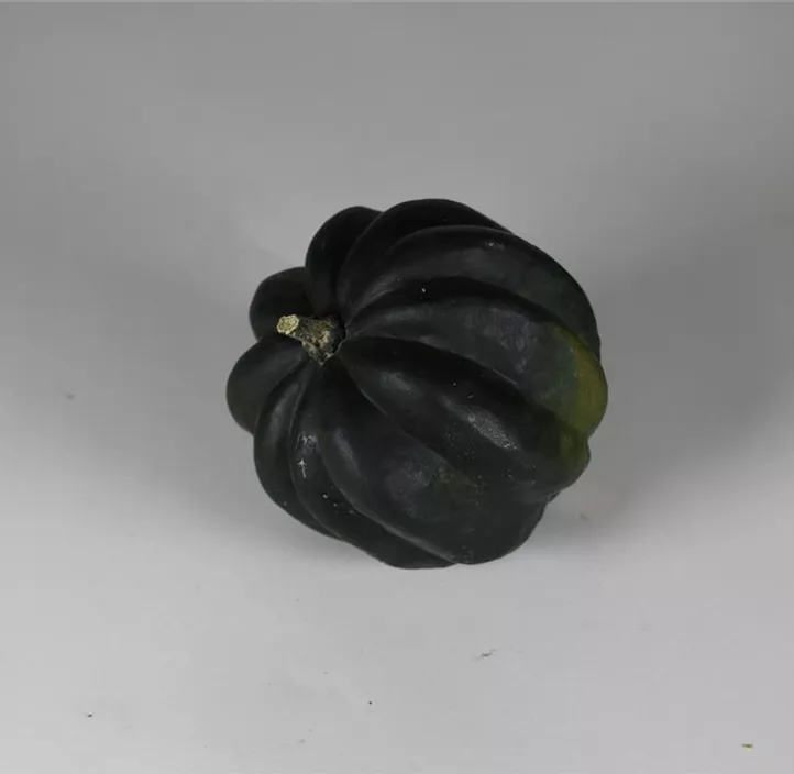 Speisekürbis Tuffy Speisekürbis Tuffy