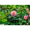 bellaflora Gartencenter GmbH