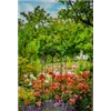 bellaflora Gartencenter GmbH