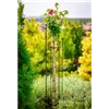 bellaflora Gartencenter GmbH