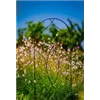 bellaflora Gartencenter GmbH