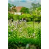 bellaflora Gartencenter GmbH