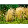 bellaflora Gartencenter GmbH