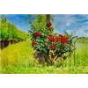 bellaflora Gartencenter GmbH