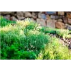 bellaflora Gartencenter GmbH