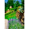 bellaflora Gartencenter GmbH
