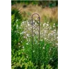 bellaflora Gartencenter GmbH