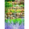 bellaflora Gartencenter GmbH