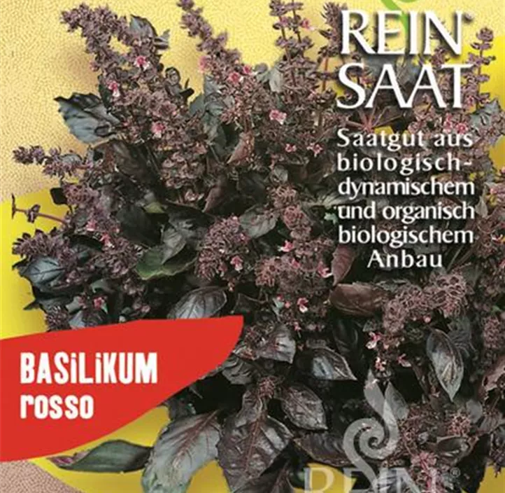 Basilikum rosso Basilikum rosso