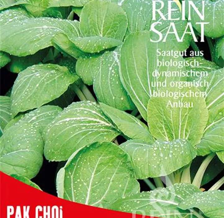 Asiasalat Pak Choi Asiasalat Pak Choi