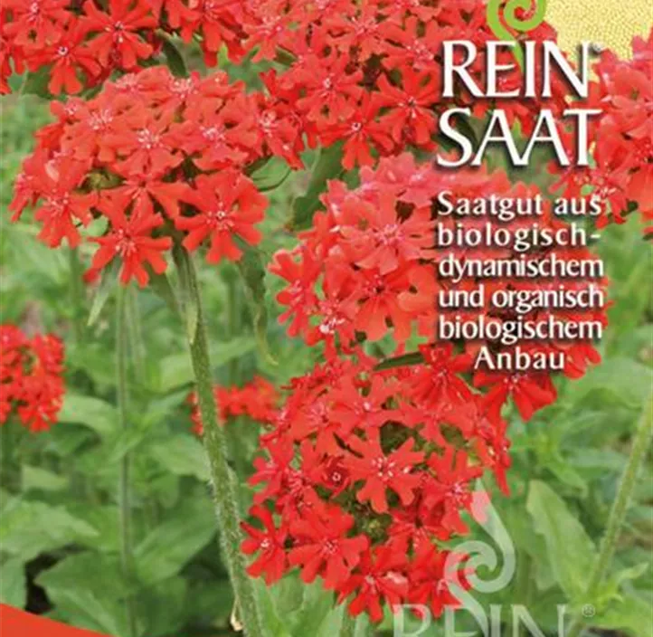 Brennende Liebe Brennende Liebe