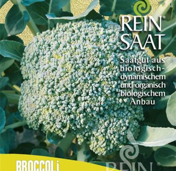 Broccoli Limba Broccoli Limba