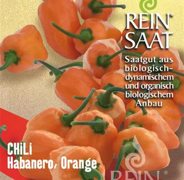 Chili Habanero orange Chili Habanero orange