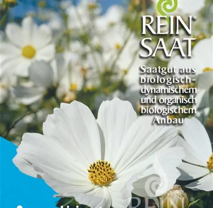 Cosmos b. v. alba Cosmos b. v. alba