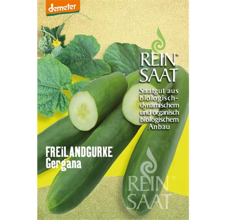 Freilandgurke Gergana