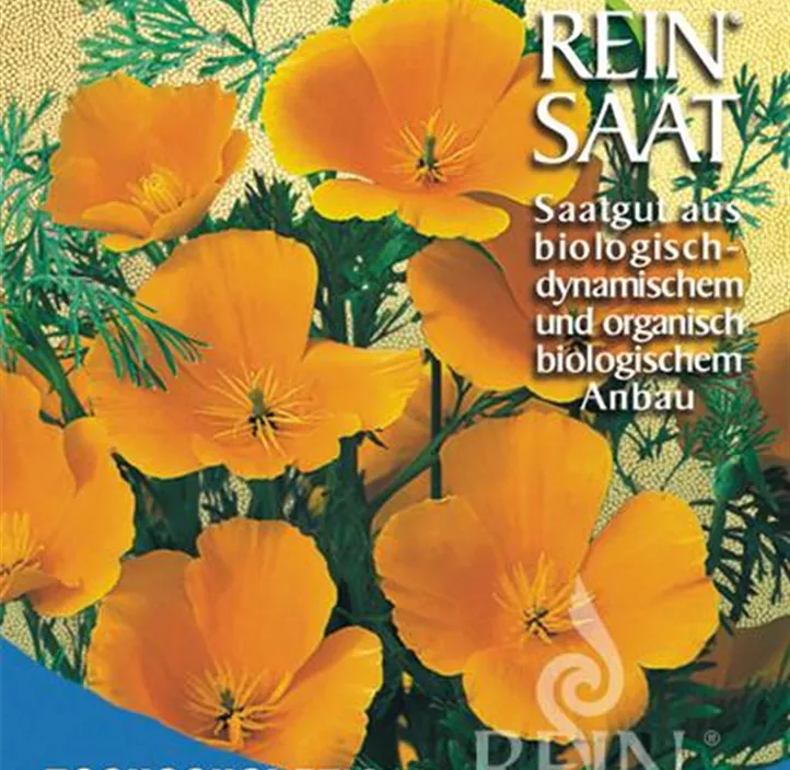 Kalifornischer Mohn, Goldmohn Kalifornischer Mohn, Goldmohn