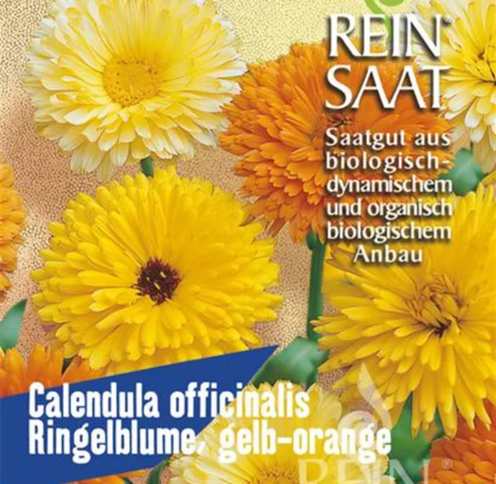 Ringelblume, gelb-orange