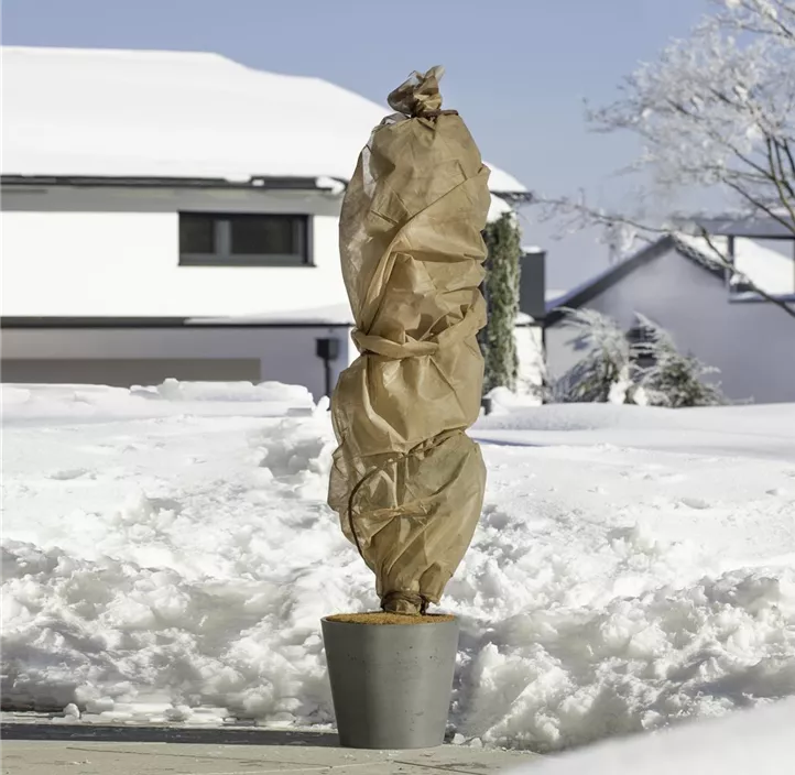 Winter Vlies 2+1 Gratis