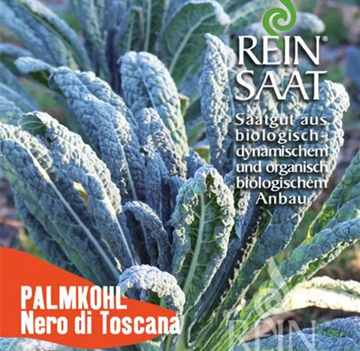 Palmkohl Nero di Toscana