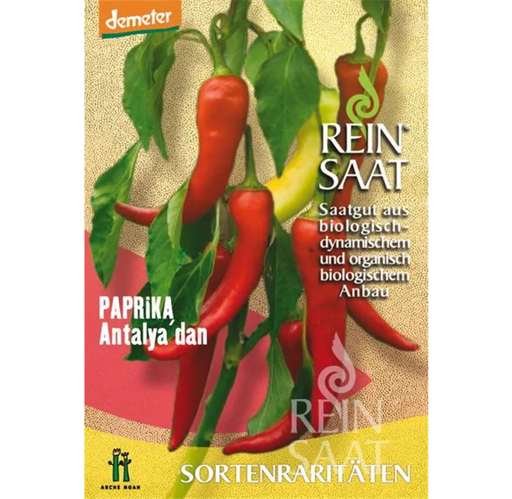 Paprika Antalya dan