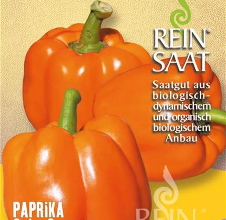 Paprika Cubo Orange Paprika Cubo Orange