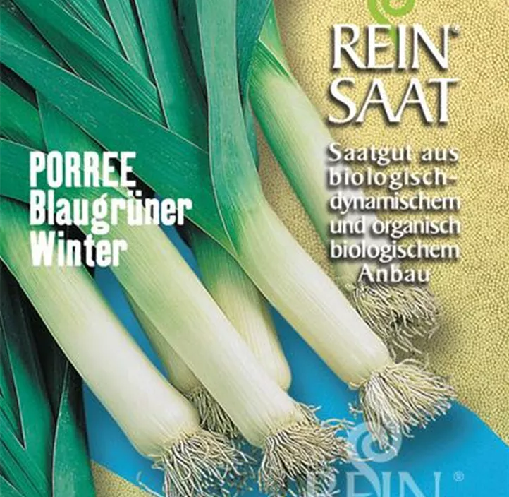 Porree Blaugrüner Winter
