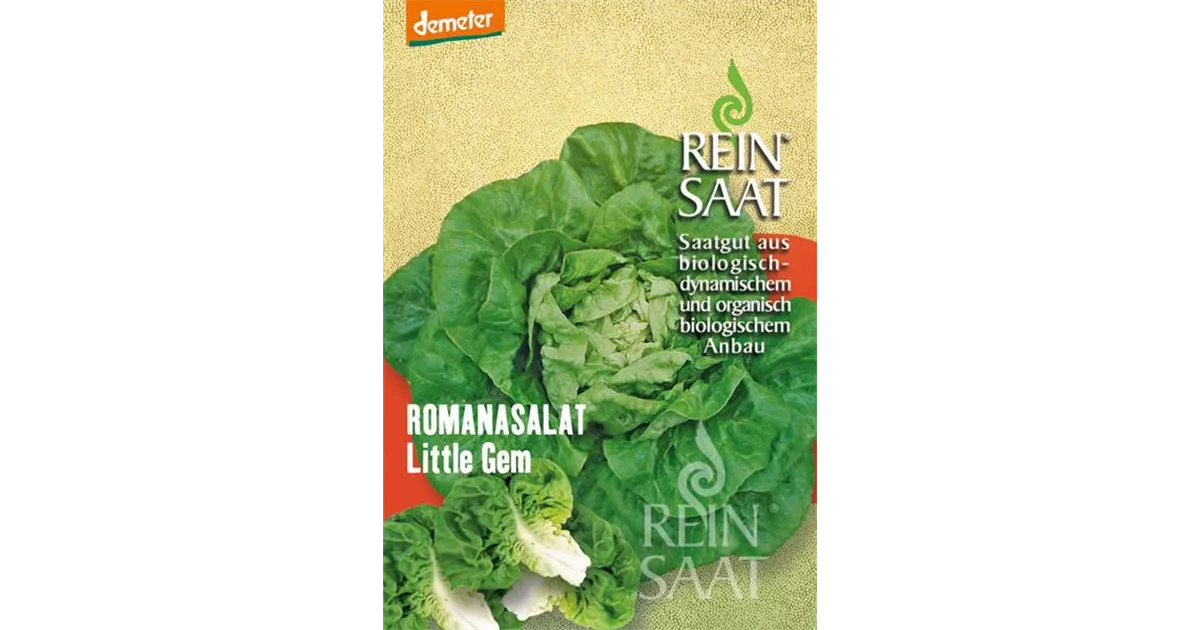 Romanasalat Little Gem - Bellaflora