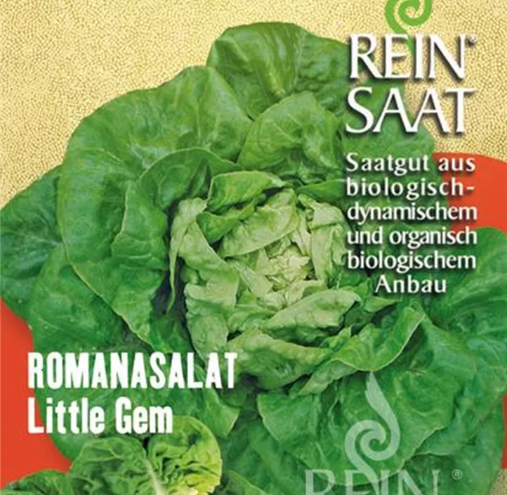 Romanasalat Little Gem